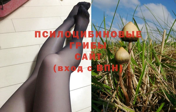 винт Алзамай