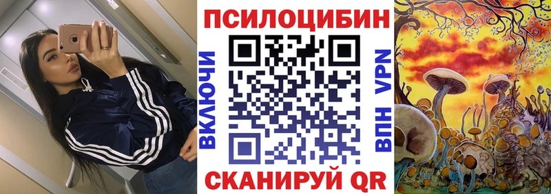 Псилоцибиновые грибы MAGIC MUSHROOMS  где купить наркотик  Бакал 